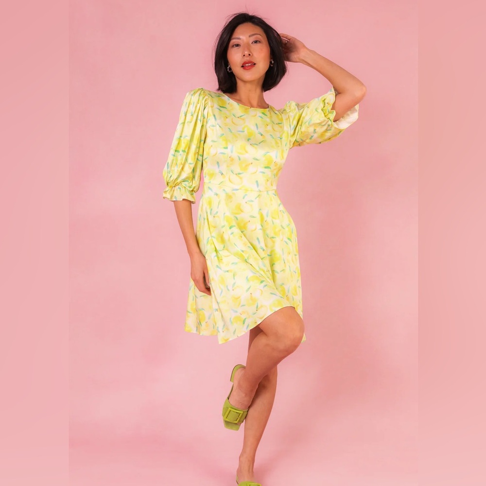 NWT Ivy City Lita dress